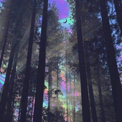 kaiyun·开云手机app下载