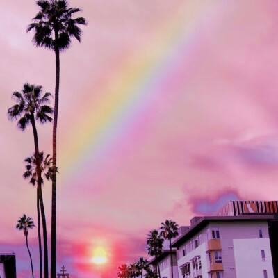 ob体育手机app下载