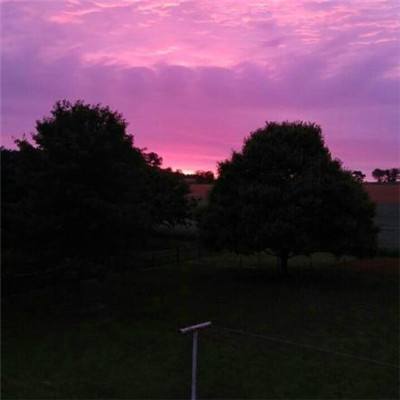 真人斗牛牛最新版手机app下载